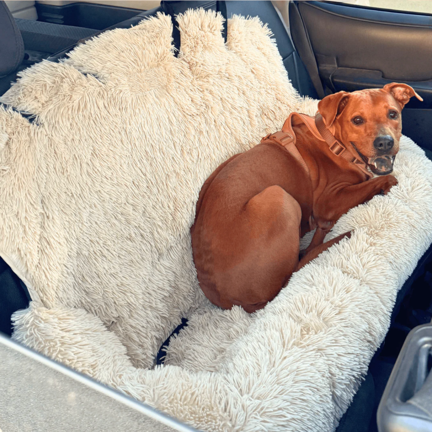 FurLane Protecting Car Bed