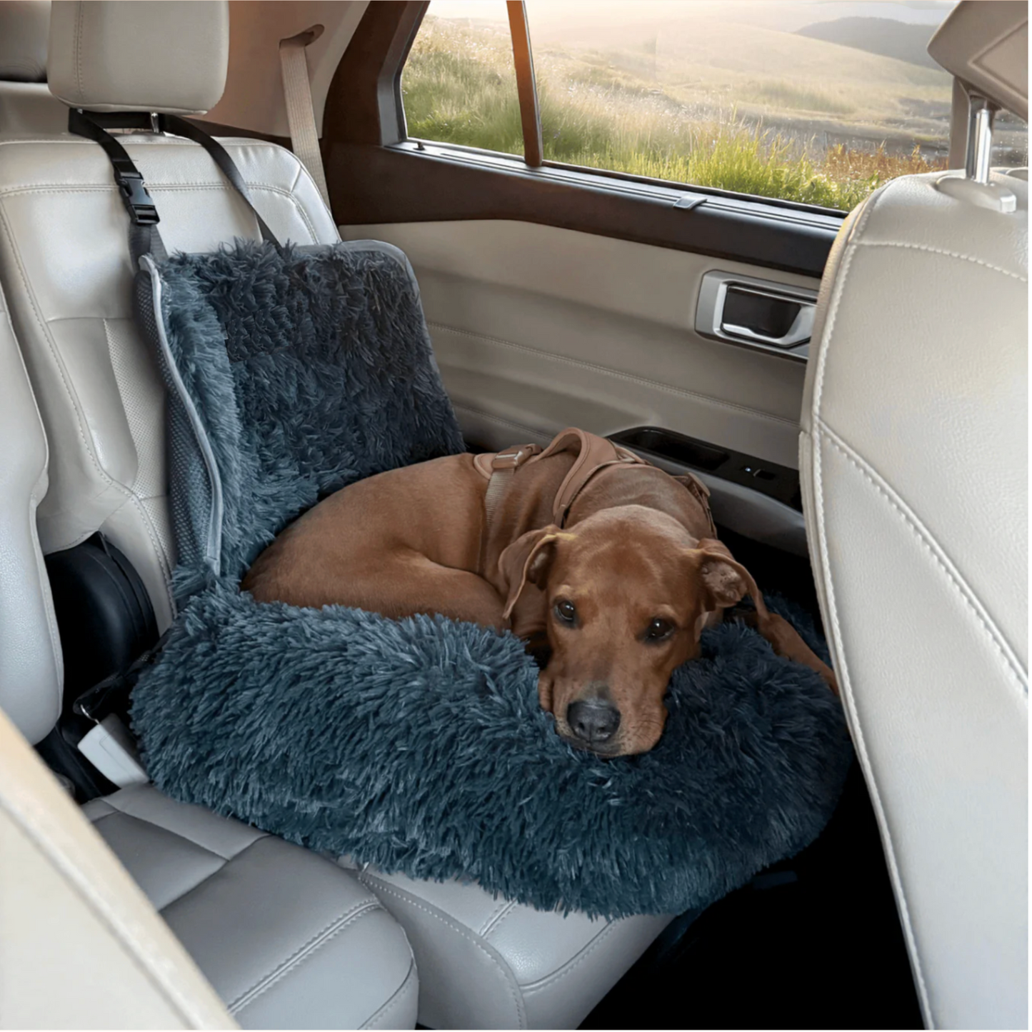 FurLane Protecting Car Bed
