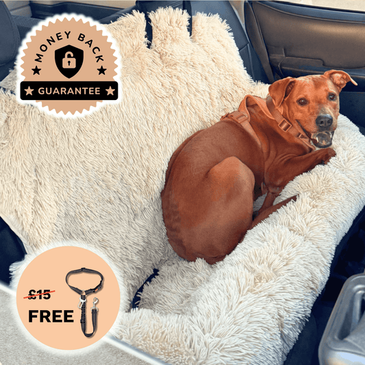 Anxiety Reducing Car Bed